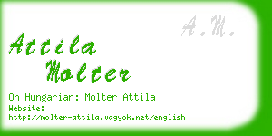 attila molter business card